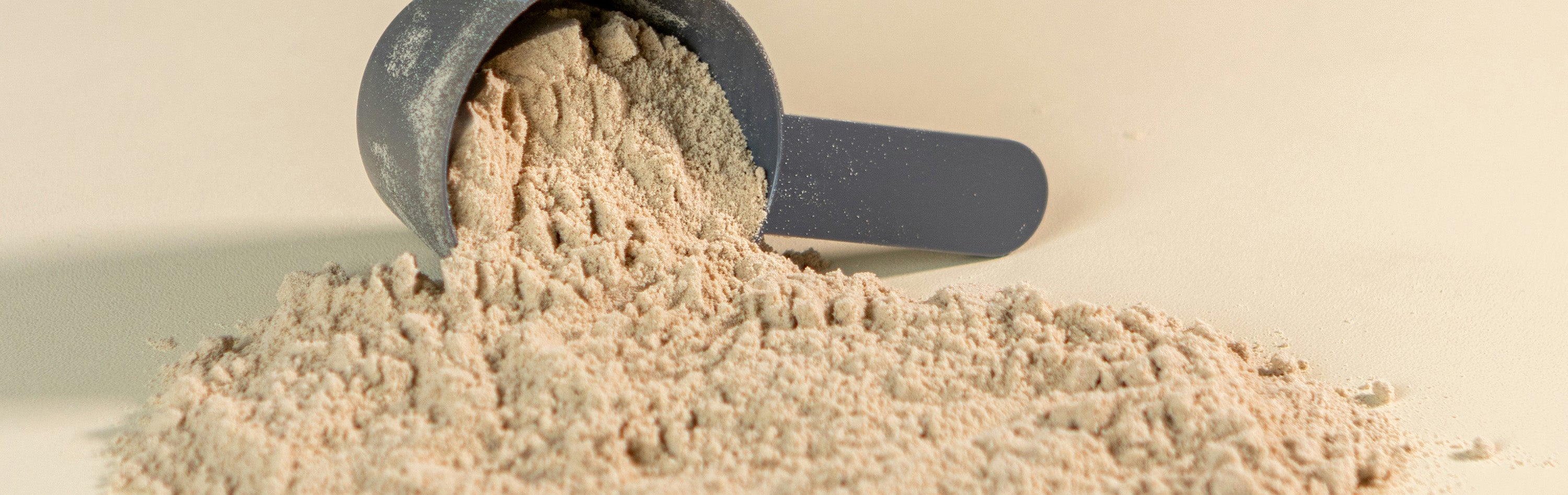 Protein Powders